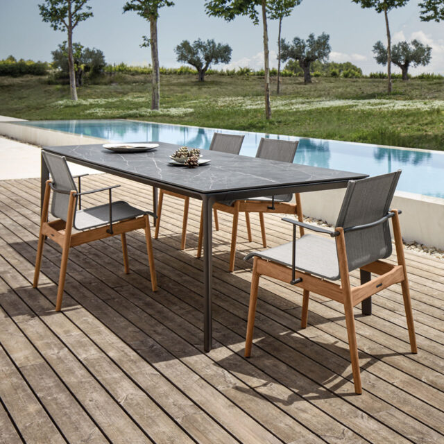 Sway Dining Arm Chair 01